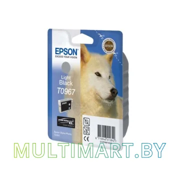 Картридж Epson C13T09674010